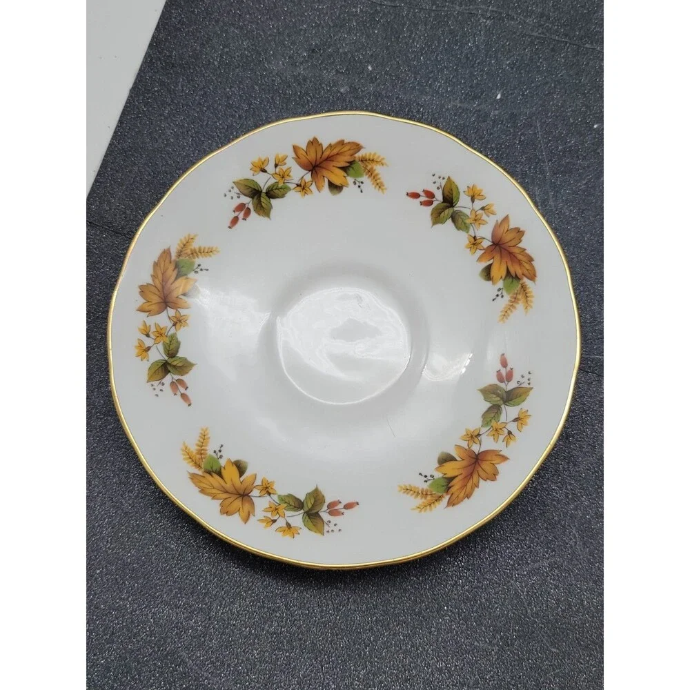 Tea Cup & Saucer Fall Foliage 8219 With Gold Trim by Queen Anne
